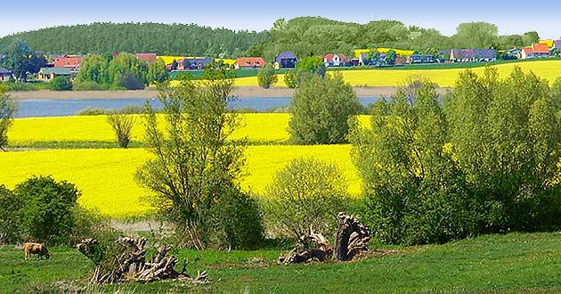 Urlaub in Mecklenburg-Vorpommern. Kurzurlaub am Rande des Naturschutzgebietes Lewitz.